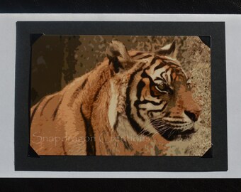 Photo Greeting Card, Orange Bengal Tiger, Blank Inside