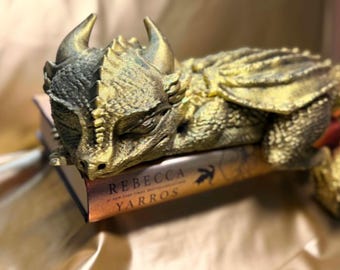 Libro o scaffale ispirato al Drago Andarna Dormiente della Quarta Ala