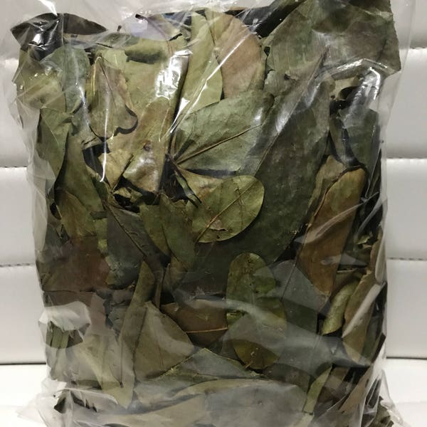 Hoja de guanabana 100g