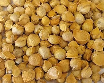 Japanese garlic 130 pieces