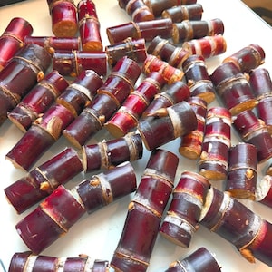 Purple Sugar Cane Cuttings: Florida Tropical Planting Nodes for Growing