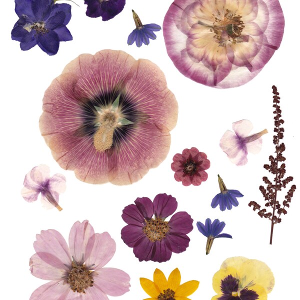 Digitale geperste bloemen