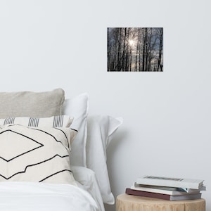 Sunrise Glow Through the Trees – Nature Photography Print