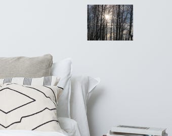 Le lever du soleil brille à travers les arbres - Impression de photographies de nature