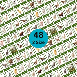 Op de afbeelding: Een verzameling flashcards met verschillende boerderijdieren, elk met een afbeelding en de naam van het dier. De kaarten zijn gerangschikt in een rasterpatroon, met een blauwe cirkel met "48" en "2 Size".