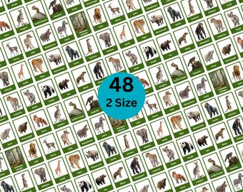 Tarjetas de animales salvajes - Spanish Flashcards- Wild Animals Flashcards - Preschool Flashcards- Kids Educational Card- Instant Download.