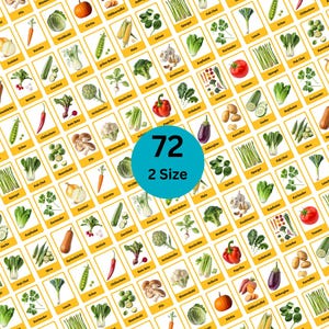 Gemüse-Karten - German Flashcards - Vegetables Flashcards - Preschool Flashcards -Kids Educational Card - Instant Download.