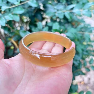 May include: A translucent, amber-colored bangle bracelet. The bracelet has a smooth, polished surface and a rounded shape. The background is a blurred view of green foliage. The bracelet is held in a hand.