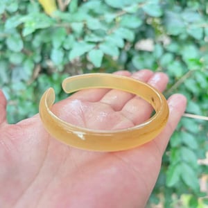 May include: A translucent, open-ended bangle bracelet in a warm amber hue. The bracelet has a smooth, rounded design and appears to be made of a solid, possibly natural material. The background is blurred green foliage.