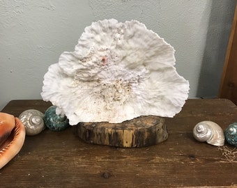 Etsy :: Your place to buy and sell all things handmade