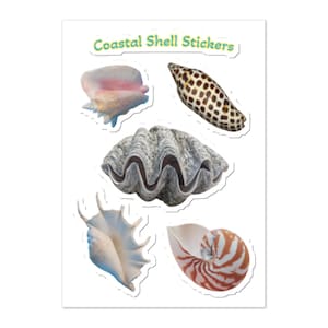Könnte beinhalten: Ein Bogen mit 'Coastal Shell Stickers' mit verschiedenen Muscheln. Die Aufkleber zeigen eine rosa Muschel, ein geflecktes Schneckenhaus, eine große graue Muschel, eine weiße stachelige Muschel und eine Nautilusmuschel mit braunen Streifen.