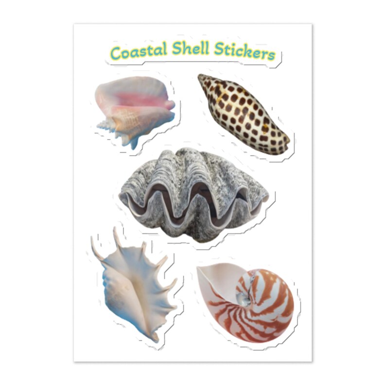 Clam Shell Sticker Coastal Shell Sticker Sheet – Nautilus, Clam & Conch Stickers - Etsy