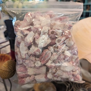 Crafting Barnacles – Gulf of America