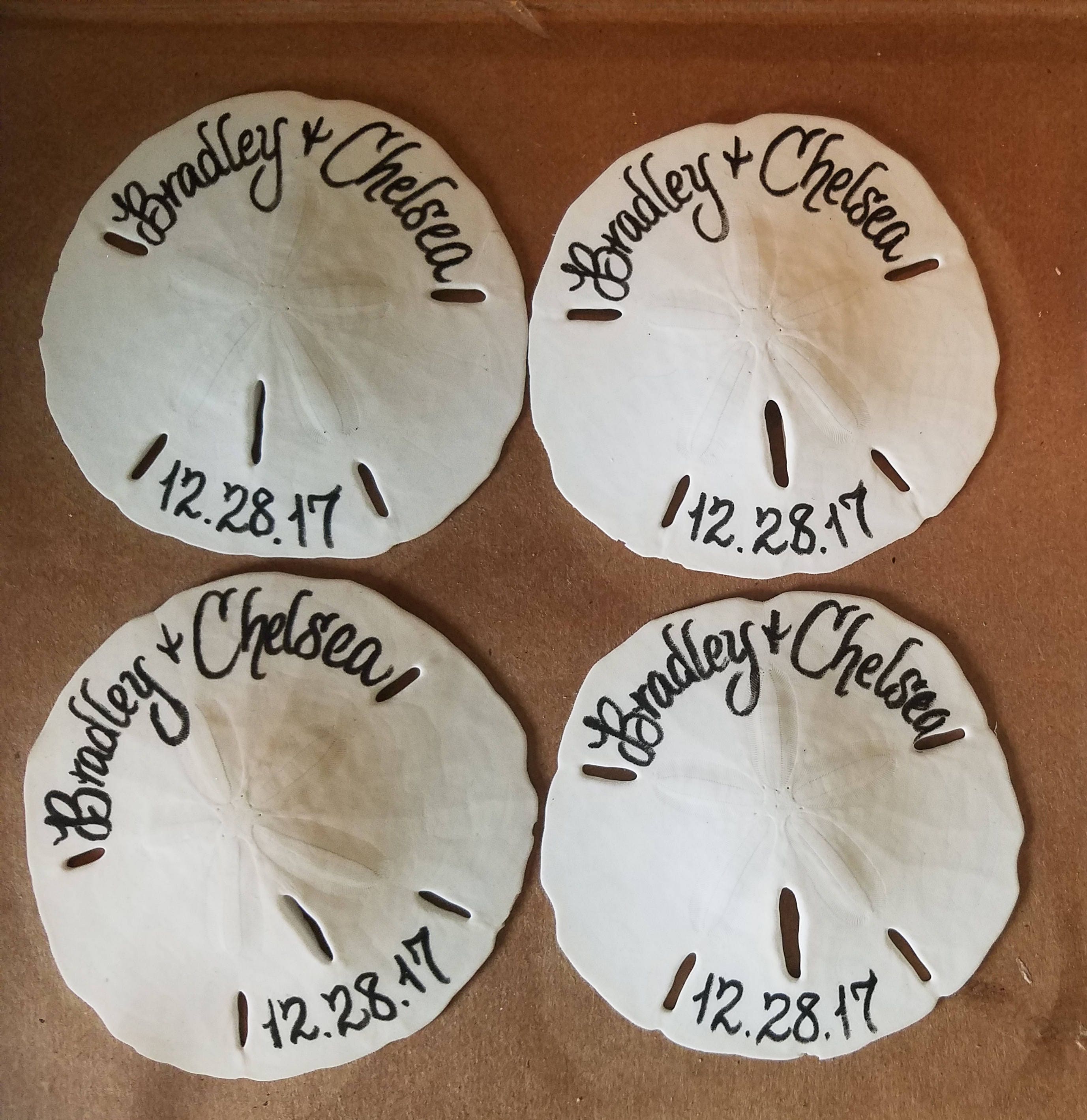 Small Sand Dollars 1-1.5 - Sand Dollar - Craft Supply - Beach Wedding  Favors - Wedding Decor - Bulk - Seashell - Gift - FREE SHIPPING!