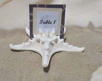 Beach Wedding Decorations Natural Tan or White Armoured Knobby Starfish Favors Placecards Table Assignments Choose Your Own Color Cards