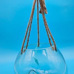 Hanging Fluid Freeform Glass Molten Terrarium with Rope