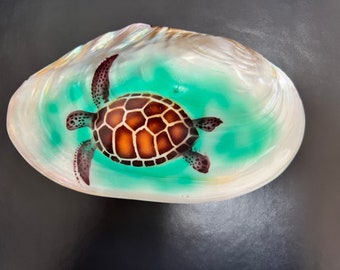 Abalone Shell Trinket Jewelry Box