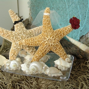 Coastal Beach Wedding Decoration- Sugar Starfish Bride and Groom Alternative Cake Topper on clear shell encrusted base