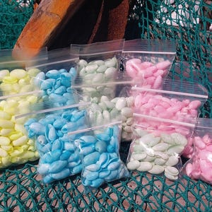 Bulk Pastel Dyed Bubble Shells – 3 oz Bag (80 Pieces) Craft & DIY Supplies
