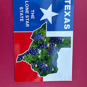 Vintage Texas Postkarte digitaler Download