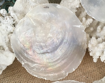 Raw Edge Capiz Shell Rounds Window Pane Flat Oyster Shells Coastal Home Decor Shell Art Crafts Display Supplies Windchime Chimes Placecard