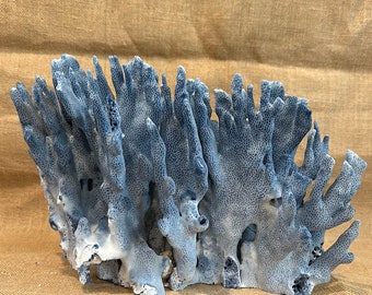 Vintage Blue Ridge Coral - 13"x8"x8"