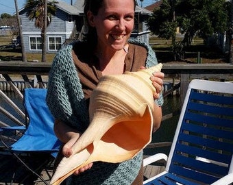 Large Monster Australian Trumpet Shell Syrinx Aruanus Mammoth Seashells Cabinet of Curiosities Rare Antique Maritime Nautical Collectible