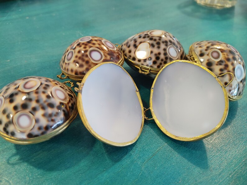 Vintage Inspired Polished Pill Box Coin Purse Tiger Cowrie Etsy