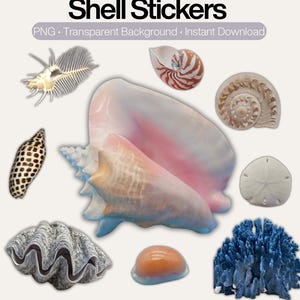Paquete de pegatinas de conchas marinas - Descarga digital
