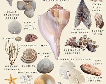 Póster y tarjetas de felicitación con imágenes de la playa de Port Aransas