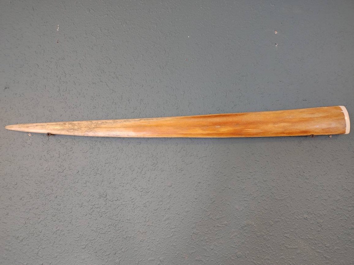 Vintage Swordfish Bill Collectors Sword Fish Taxidermy Bone Etsy