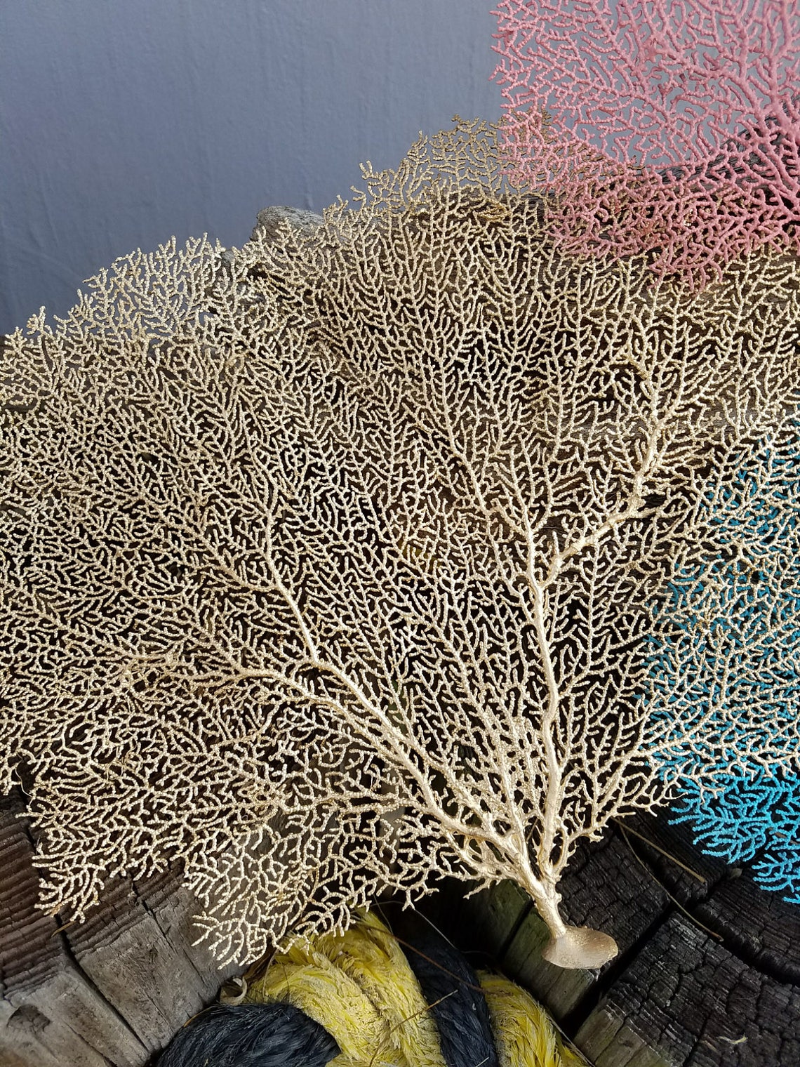 Natural Dried Sea Fan Coral Hand Painted Metallic Gold Silver Etsy