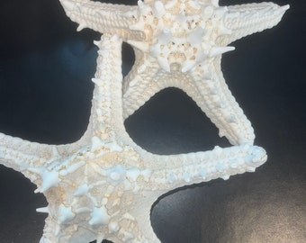 White 8-10" Thorny Starfish Large Thorny Bumpy Texture DIY Decorating Art Crafts Beach Weddings Star Ocean Seashells Coastal