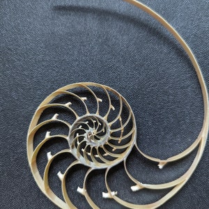 Center Sliced Pearl Nautilus Shells image 1