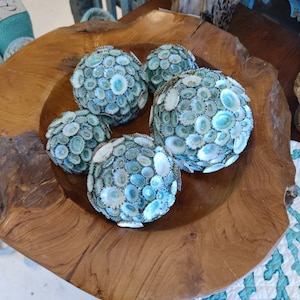 Blue Green Limpet Sphere Ball Seashell Shell Decorative Orb Beach House Accent Aqua Coastal Decor Art Natural Set Figurine Filler Bowl Sea