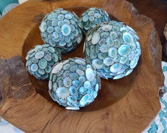 Blue Green Limpet Sphere Ball Seashell Shell Decorative Orb Beach House Accent Aqua Coastal Decor Art Natural Set Figurine Filler Bowl Sea