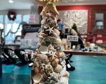 12" Natural Seashell Tree with Coral