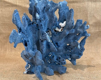 Vintage Blue Ridge Coral - 7"x6"x8"