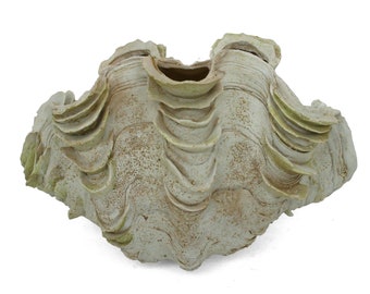 Small Clam Shell Decorative Vase