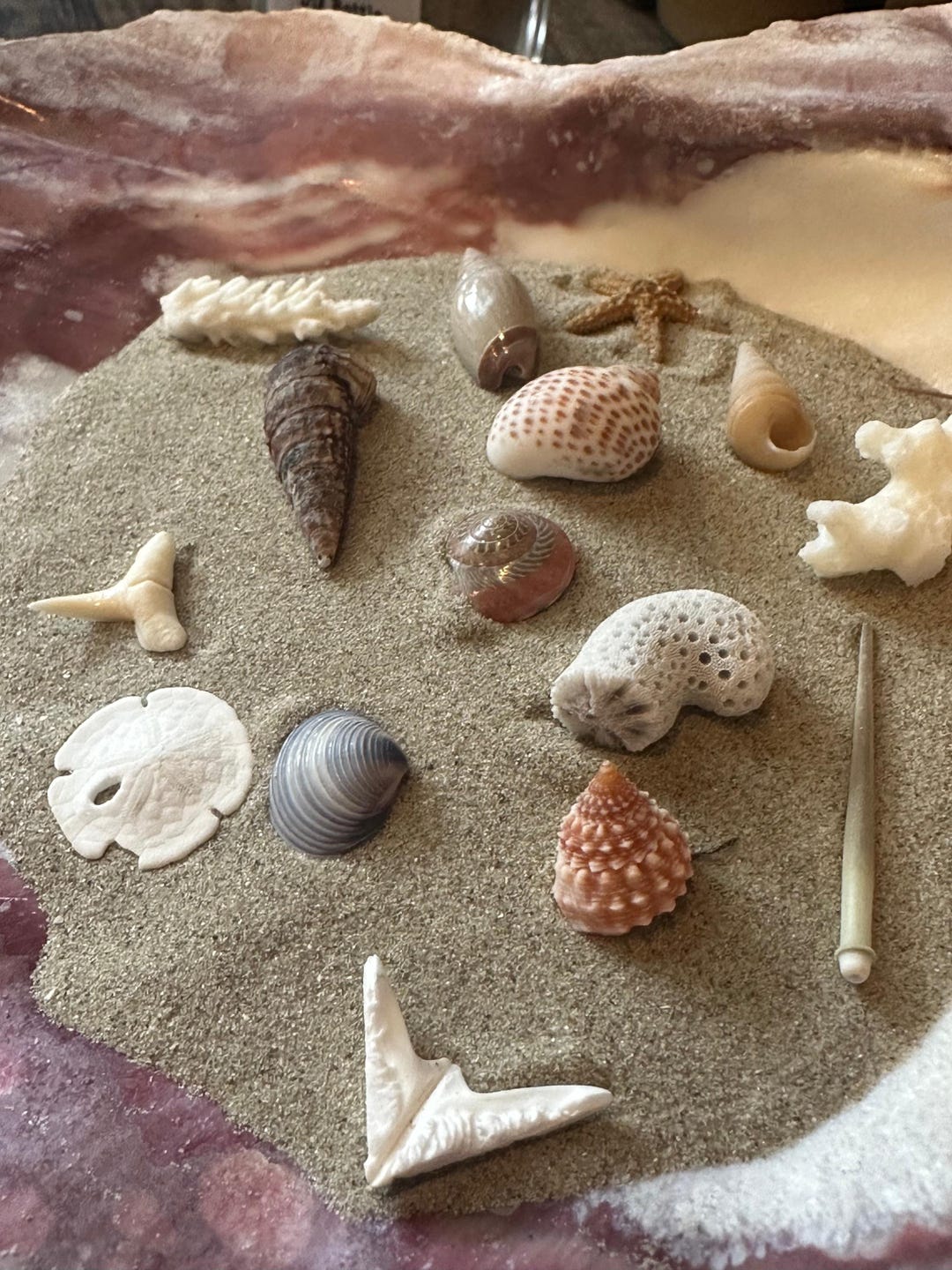 Mystery Shell Dig Bottle - Etsy