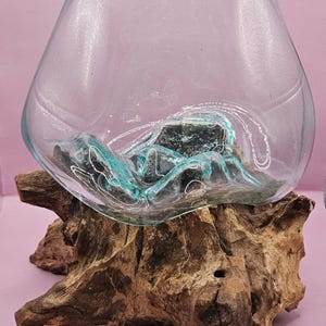 Large Teak Root Driftwood and Molten Glass Terrarium- Single Globe