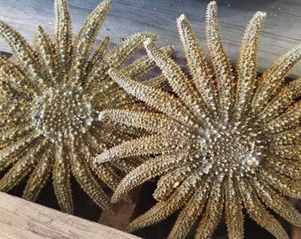 Natural Collectible Sunflower Sun Flower Starfish Coastal Home Display DIY Decorating Ocean Nautical Mantle Arrangement Centerpiece Sea Star