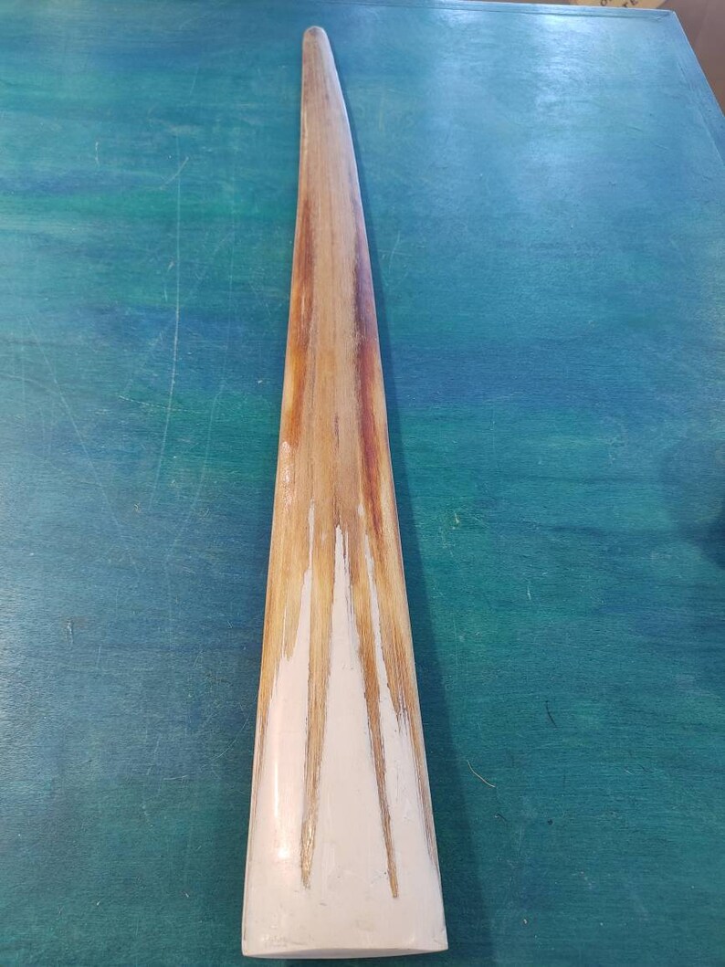 Vintage Swordfish Bill Collectors Sword Fish Taxidermy Bone Etsy