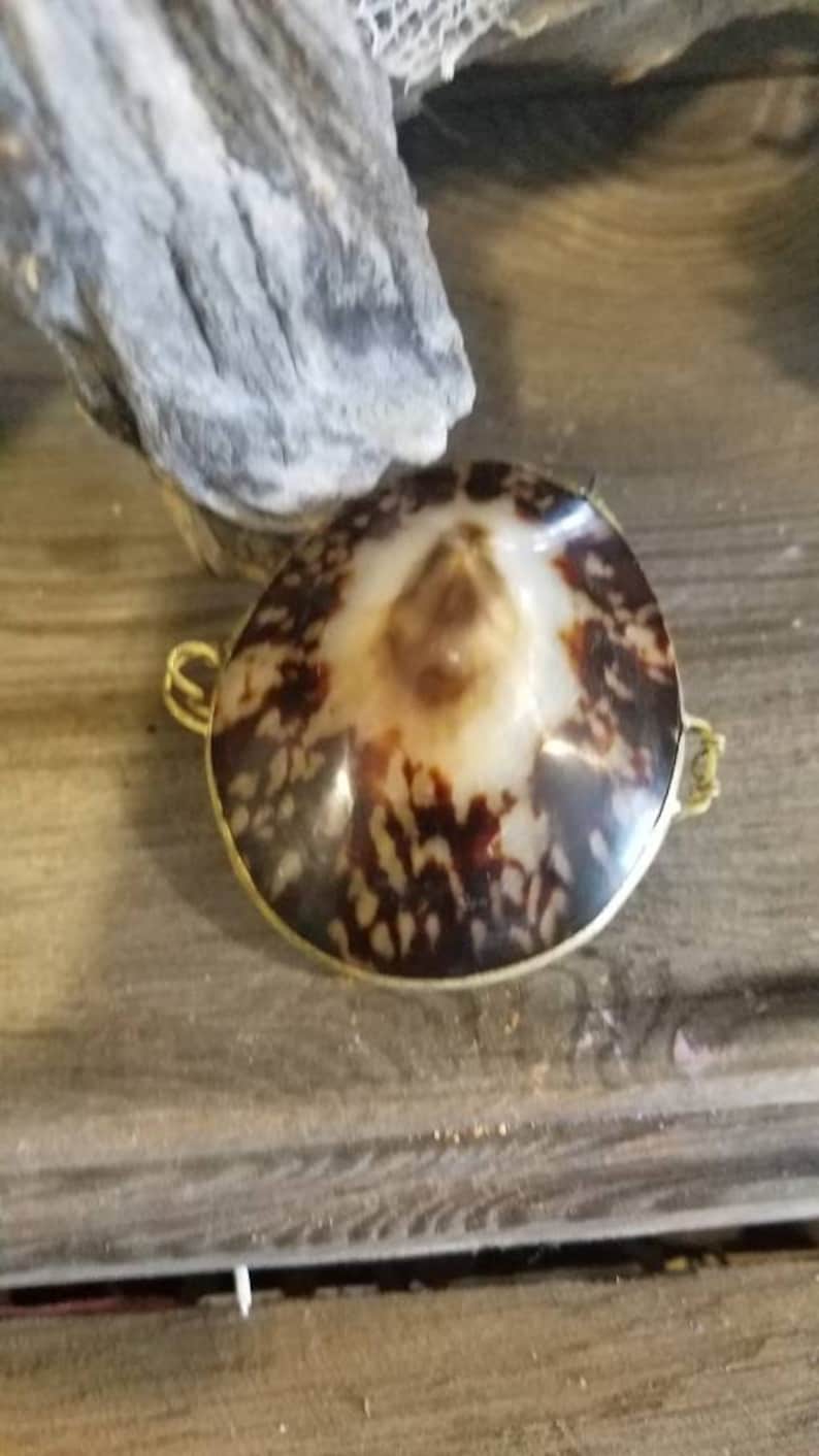 Vintage Inspired Polished Shell Pill Holder Box Coin Purse Etsy