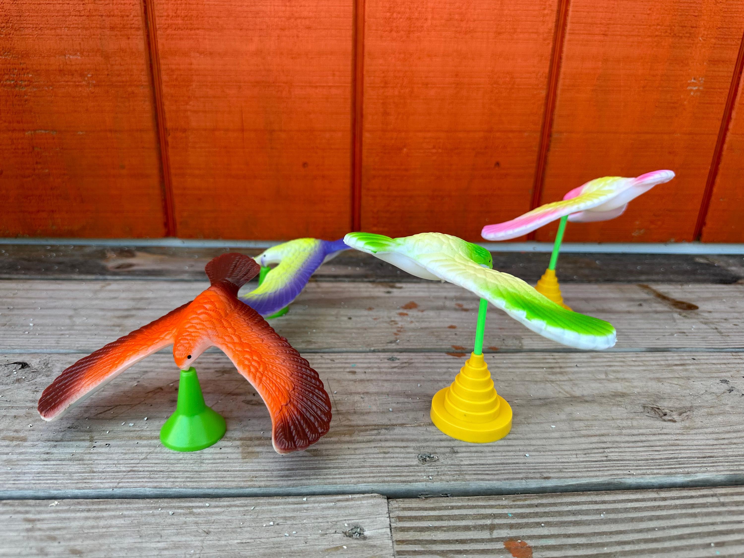 How Much Do Bird Toys Cost: Ultimate Guide to Budget-Friendly Fun