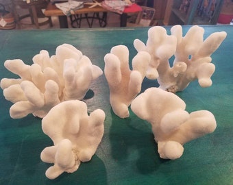 Vintage Lot 20 Pieces of Coral Shell Nautical Sea DIY Decor