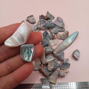 Tumbled Abalone Shell Pieces – Polished Natural Shell Chips for Crafts, Decor & Jewelry (Small)