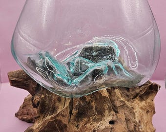 Small/Medium Teak Root Driftwood and Molten Glass Terrarium- Single Globe