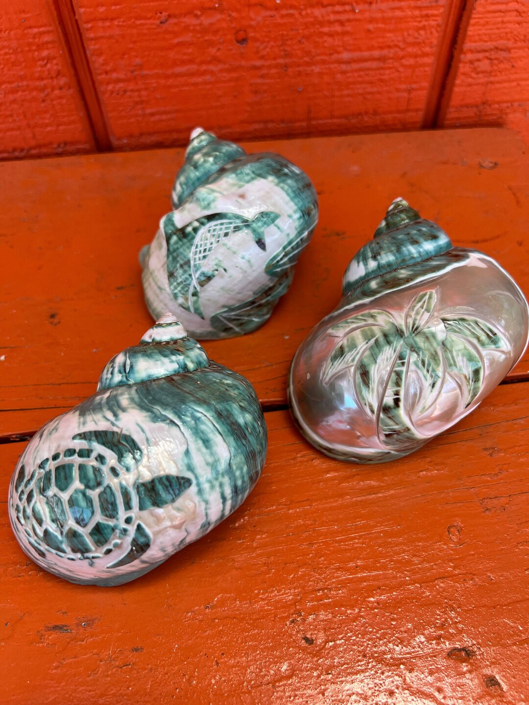 Polished & Carved Green Jade Pearl Turbo 3 Styles Sea Turtle Palm Tree ...