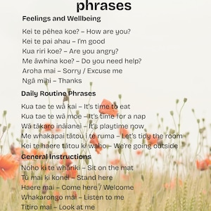 May include: A white poster with black text listing phrases in Te reo Māori, the Māori language, categorized by feelings, daily routines, and general instructions. The background features blurred flowers.